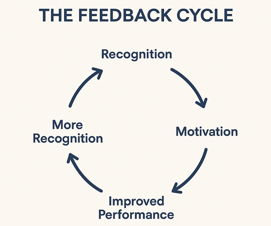 The feedback cycle