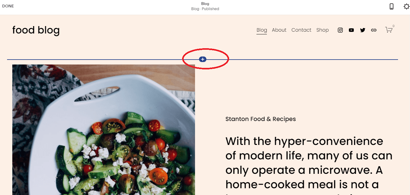 How to install Marquiz on Squarespace 20
